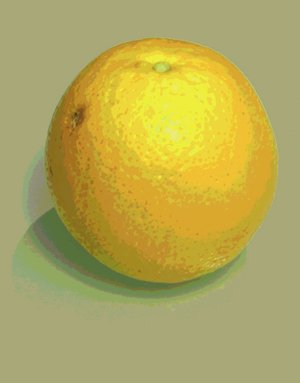 naranja2